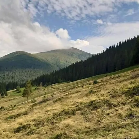 Kreitser * Lazeshchyna