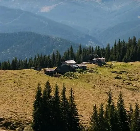 Kreitser